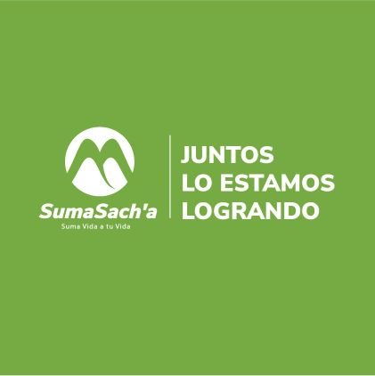 Somos la Iniciativa Clúster del SachaInchi, integramos productores de SachaInchi y empresas de la cadena de valor y la comercialización.