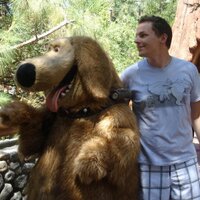 Fraser Anderson (@f_rasera) 's Twitter Profile