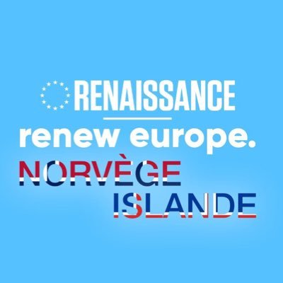 Comité local #Renaissance 🇪🇺 #Renew en 🇳🇴 et 🇮🇸 !
