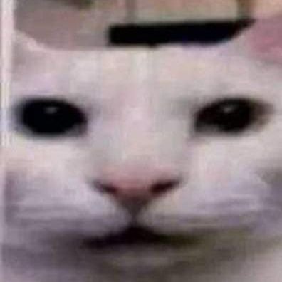 complhe's profile picture. A.E.I.O.U