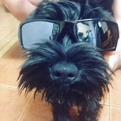 man7xi's profile picture. 