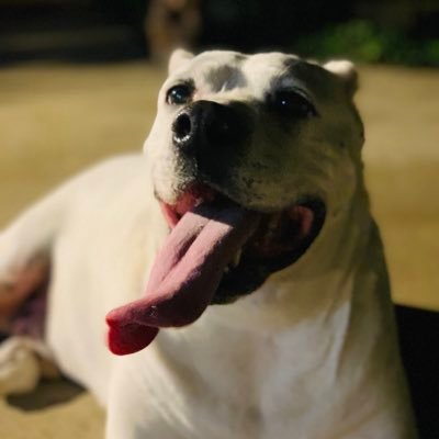 HillaryEmmanue4's profile picture. Just a crazy boy in an unusual world. Trapped in my own little heaven🐾🐾