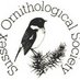 Sussex Ornithology (@SussexOrnitholo) Twitter profile photo