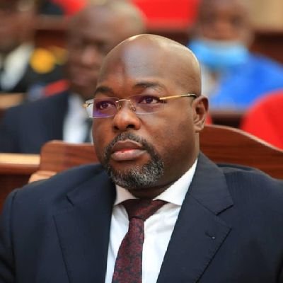 Président de la Fondation Maurice Mpolo - Ceo. Peratsim - Homme Politique.