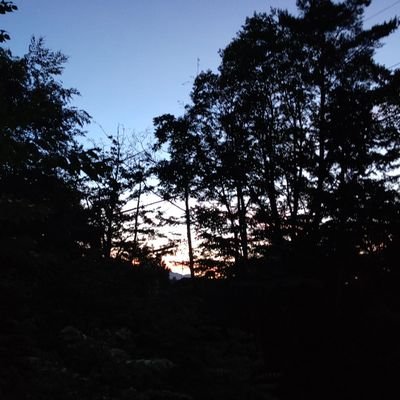 北海道札幌市出身
富士山の山梨側の麓に在住 既婚 料理、ドライブが趣味のおじさん
1965年9月27日生まれ、てんびん座、血液型B型
