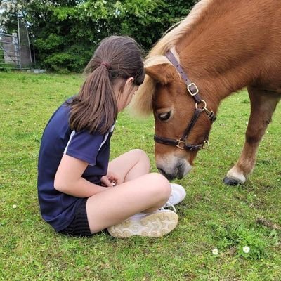 Snowdrop Therapy Ponies 
Providing therapy pony sessions and educational talks and visits to care homes, schools or your chosen venue.