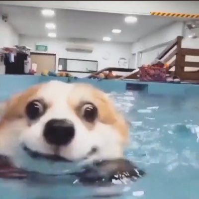 denj1ro0's profile picture. ないすぅ〜👍 社会人なう