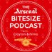The Arsenal BiteSize Podcast (@AFCBiteSizePod) Twitter profile photo