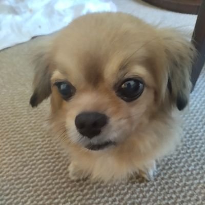 maryannwill91's profile picture. 