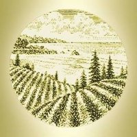 BargettoWinery (@bargettowinery) 's Twitter Profile