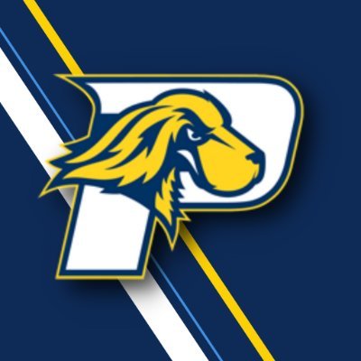 The official Twitter of @paceuniversity Esports | 2022 SSBU ECAC Open Division Champions | Website: https://t.co/VxE9vvYlZg | Contact: 📨 esports@pace.edu