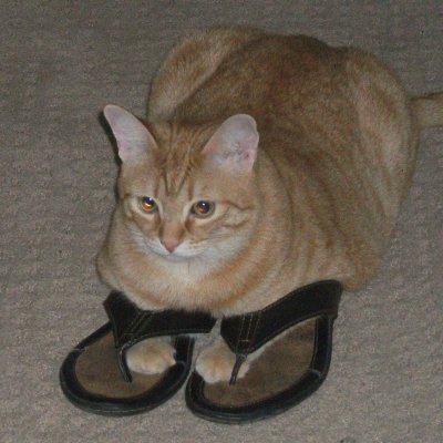 JLaren2's profile picture. I love Jesus, America, and Patriots!