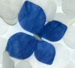 RiceButterflyUK's profile picture. Official RiceButterflies UK Reseller. Handmade, Organic, Biodegradable Butterflies Confetti. Eco Friendly Wedding Reception Decor. Beautiful butterfly confetti.