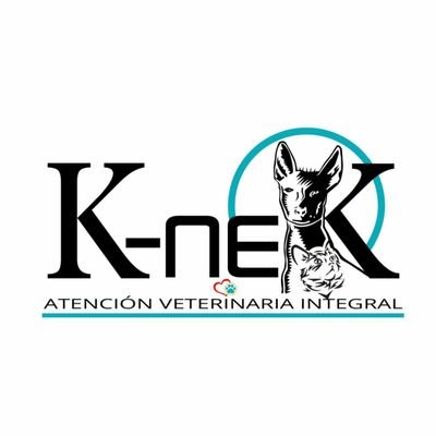 Nuestro compromiso, en Clínica Knek, contar con los servicios y equipo necesario para la atención y bienestar de tu animal de compañía.