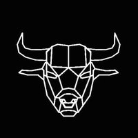 BullRingCrypto(@bullringcrypto) 's Twitter Profile Photo