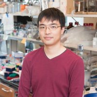 Xian Zhang (@xianzhang2016) 's Twitter Profile