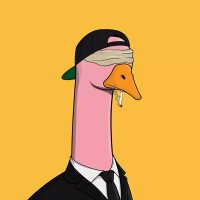 Noah Grossman (@noahgrossmantm) 's Twitter Profile