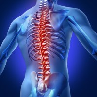 Greggers Spine (@greggersspine) 's Twitter Profile
