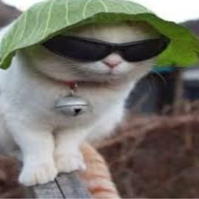 SpymodeB19's profile picture. 