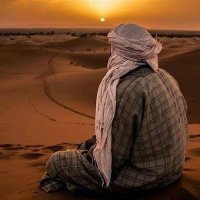 Basel Mohammad (@baselmo63146078) 's Twitter Profile