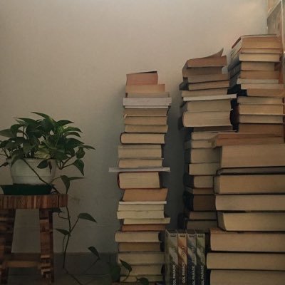 NorahMalrashed's profile picture. Student at @COC_QU_SA