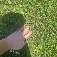 TouchingGrass (@grass_touching) 's Twitter Profile