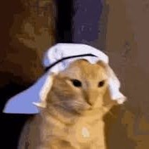 F0urLimited's profile picture. Hello, My name is limitedI do play games as Steam, Roblox and Uplay.