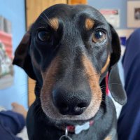 Bertie and Theo (@theobertie) 's Twitter Profile Photo Bertie and Theo (@theobertie) 's Twitter Profile Photo