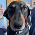 Bertie and Theo (@theobertie) Twitter profile photo Bertie and Theo (@theobertie) Twitter profile photo