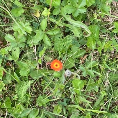 Davidterry1972's profile picture. 