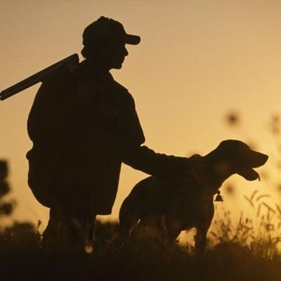 I mainly tweet about #NationalSecurity, #War, #Tech, #Surveillance, & #AirRifle competitions.