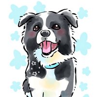 ボーダーコリーの絃(ゲン)くん🐾 (@genkun2021510) 's Twitter Profile