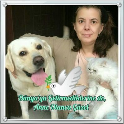 🐱🐶 🐰🕊Onlar Bizim Eserimiz,
Onları biz evcilleştirdik,
SAHİP ÇIKMAK ZORUNDAYIZ 👈