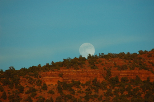 DepthSoul's profile picture. Is there soul in Twitter? Interested in depth, meaning, finding new solutions to disorder through Depth Psych, Ecopsych, Jungian ideas, Neuroscience, Technology