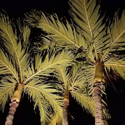 Viral00700's profile picture. 