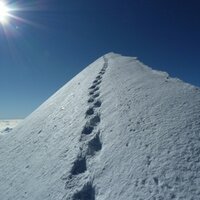 Sabine Kuster (@sbeenkuster) 's Twitter Profile Photo
