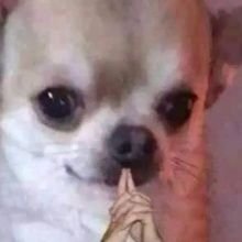 RED_WARRIOR21's profile picture. 