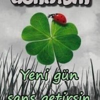 YONCA ÇİCEĞİ (@yonca5050) 's Twitter Profile