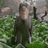 FreeBryann's profile image