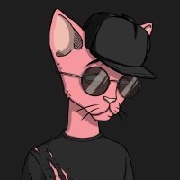 defi rebel princess | crypto barbie | high priestess of 0xpussydao | nfa