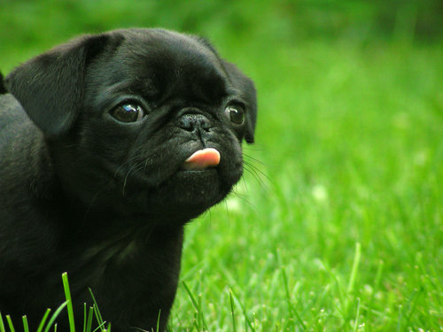 here_or_there_o's profile picture. Opinions are my own.