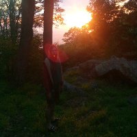 Ed (@redbeardedward) 's Twitter Profile