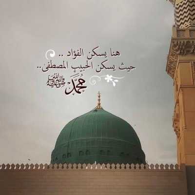 bint_Ismaeil's profile picture. 