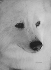 ramdhani19's profile picture. 