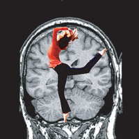 Emily S. Cross (@brain_on_dance) 's Twitter Profile