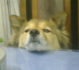 toto0803's profile picture. 世界遺産☆cafe☆酒場☆買い物☆旅行☆テニス☆　明日もいい日だよ