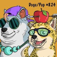 DOGE SOLANA PUPPY (@dogesolpup) 's Twitter Profile