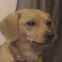 Krownych's profile picture. 