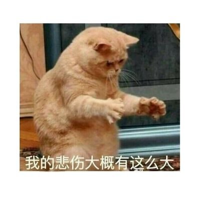 xiaotai86851285's profile picture. 