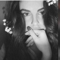 alaakhalil (@alaakha15297331) Twitter profile photo